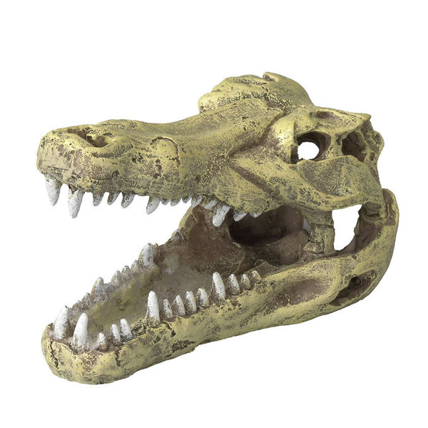 Dekor Krokodilschädel Größe M Kunststoff