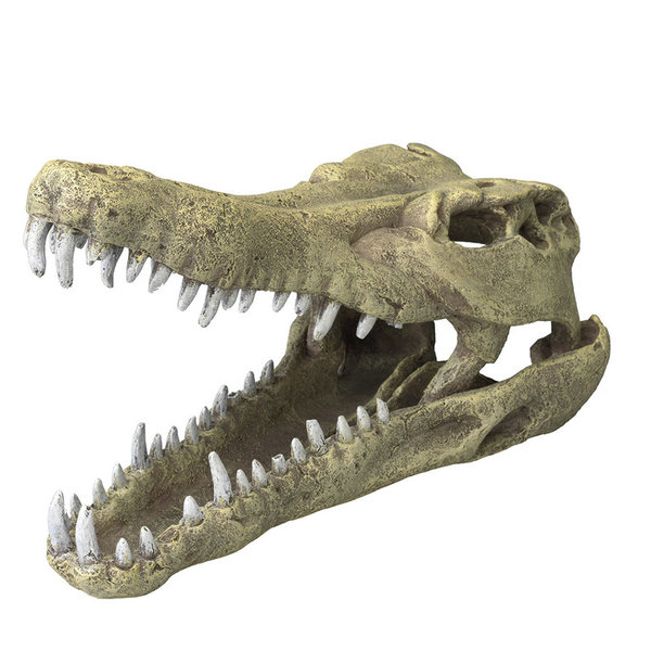 Dekor Krokodilschädel Größe XL Kunststoff